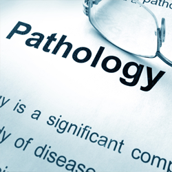 Pathology documents
